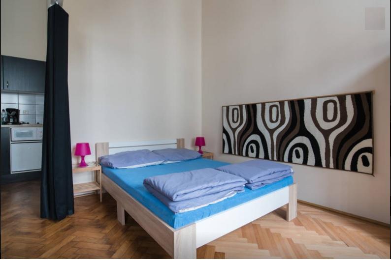Sparrowl Apartments Budapest Rom bilde